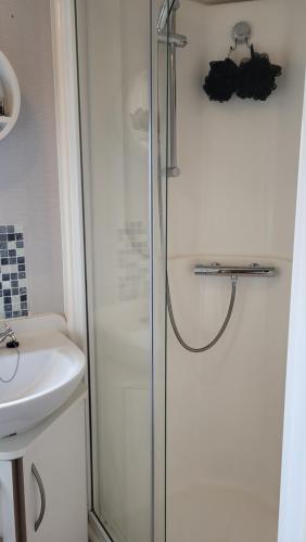 Koupelna v ubytování Parkdean Southview Vintage 45 Three bed Sleeps 8 Pet Friendly