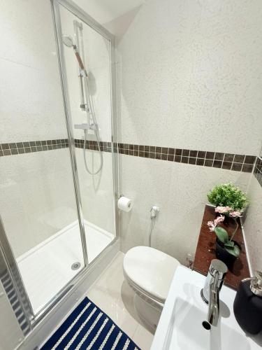 a bathroom with a shower and a toilet and a sink at Chiswick Guest Rooms in London