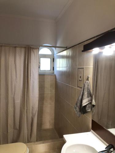a bathroom with a shower and a toilet and a sink at Villa Zante Estrella in Kalamaki