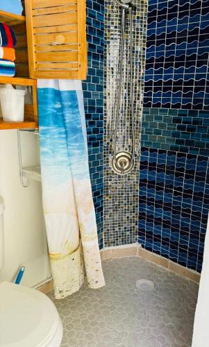 a bathroom with a shower curtain and a toilet at Love Story Pool House, free parking & BBQ in Miami