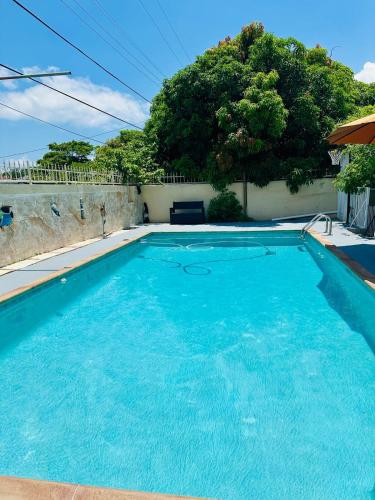 a large blue swimming pool with a tree in the background at Love Story Pool House, free parking & BBQ in Miami