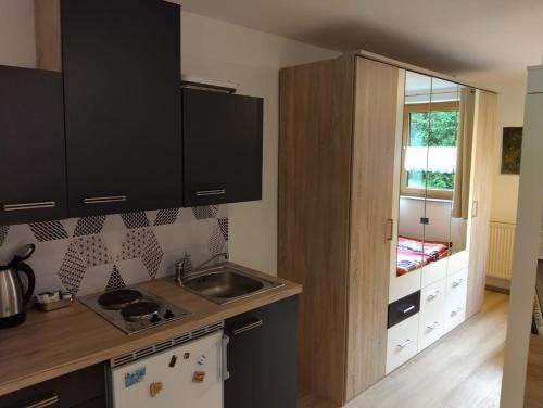 a kitchen with a sink and a counter top at Schlafende Hexe in Bischofswiesen