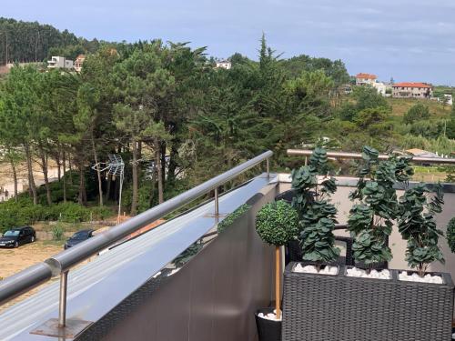 Φωτογραφία από το άλμπουμ του Canelas 22 σε Sanxenxo