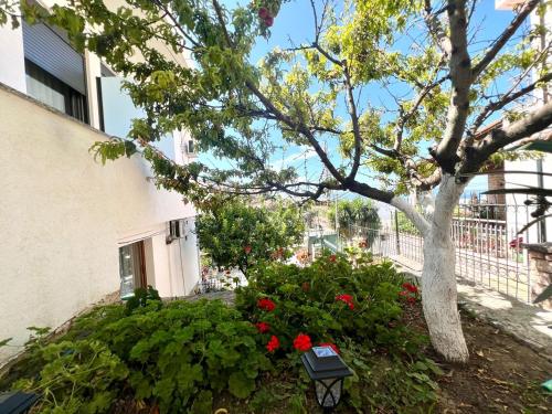 Fotografie z fotogalerie ubytování Duka Apartments Sarande v destinaci Sarandë