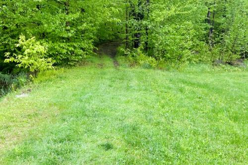 a field of grass with trees in the background at Wandering Trails Retreat in Cambridge