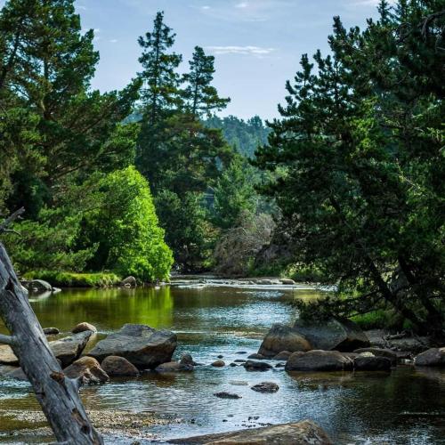 a river with rocks and trees in a forest at Suite Balneo Les Boutons d'or Font Romeu in Font-Romeu