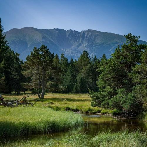 a river in a field with trees and a mountain at Suite Balneo Les Boutons d'or Font Romeu in Font-Romeu