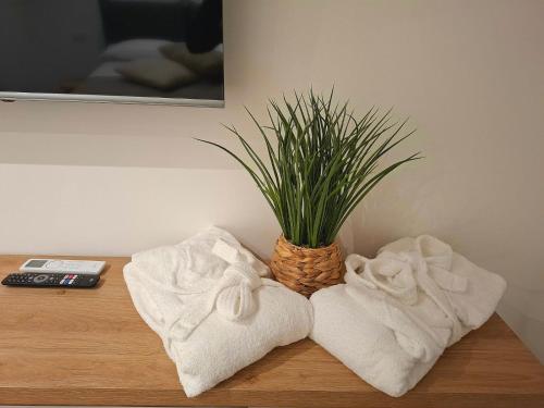 a table with towels and a potted plant on it at La Casetta di Lucia in Carate Urio