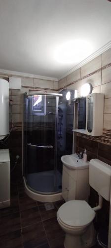 a bathroom with a shower and a toilet and a sink at Fenyves Nyaraló in Hajdúszoboszló