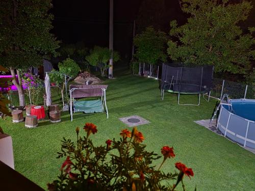 a yard with chairs and a table and some flowers at Garden Spa Retezat in Fizeşti