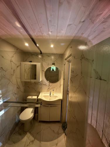 a bathroom with a toilet and a sink and a mirror at Dom z dużym tarasem nad jeziorem na wyłączność in Krasnopol