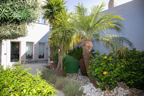 Κήπος έξω από το Hibiscus B&B