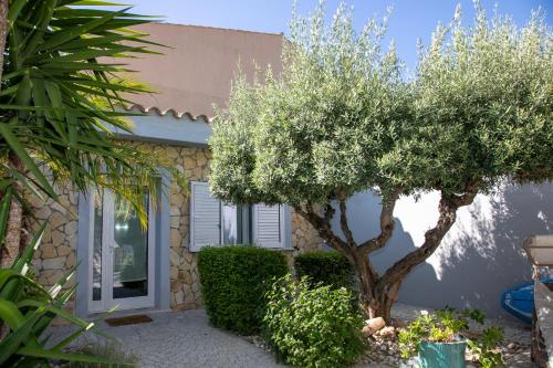 Κήπος έξω από το Hibiscus B&B