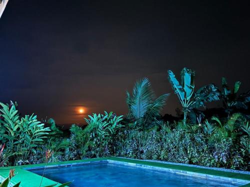Kolam renang di atau dekat dengan Cabin in the wood