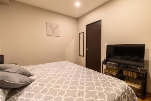 a bedroom with a bed and a flat screen tv at 503 Walk the City Center 1Bdrm 1 bath AC Rooftop in Mexico City