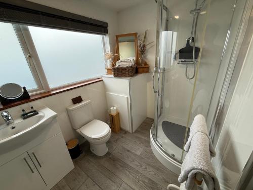 a bathroom with a shower and a toilet and a sink at The Studio with Hot Tub in East Budleigh in beautiful countryside in East Budleigh