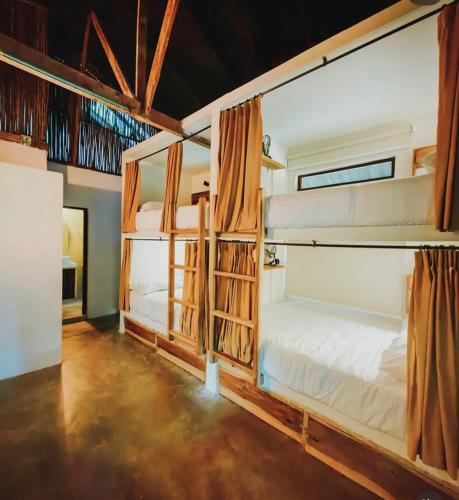 a room with four bunk beds in it at Minkanta Central Hostel in Minca