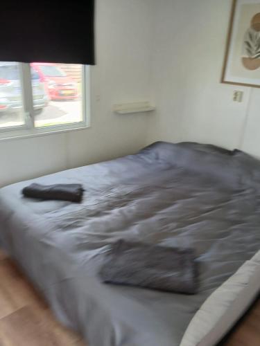 a large bed in a room with a window at Chalet Bosgeluk - close to the woods in Anloo