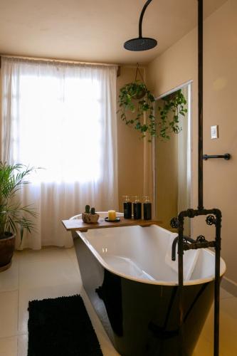 a bath tub in a bathroom with a window at Habibi Room in Cedro