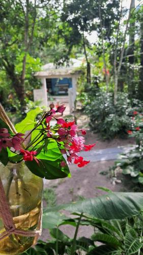 Taman di luar Tekoah Pousada