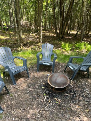 three blue chairs and a fire pit in the woods at Chamcook_B Dome in Saint Andrews