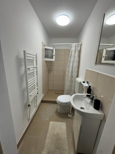 Koupelna v ubytování Downtown Private Rooms