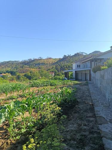 Casa dos Valentes