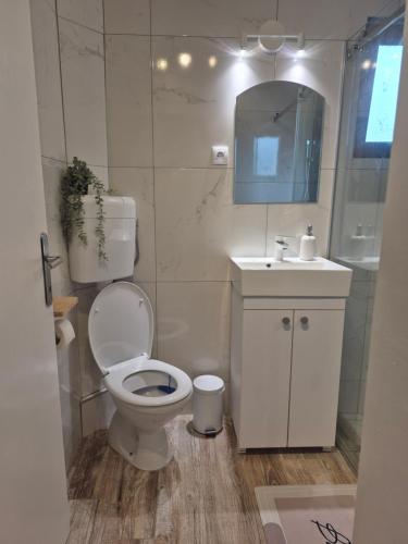 a bathroom with a toilet and a sink and a mirror at Domacinstvo Pecina Petnica in Petnica