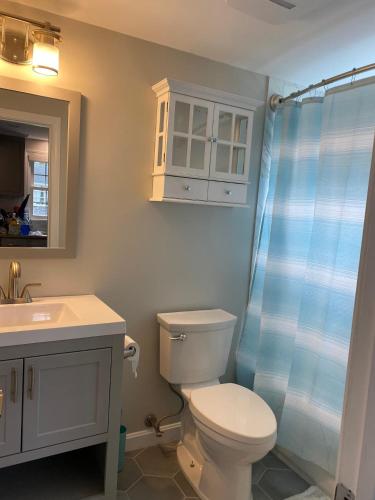 a bathroom with a toilet and a sink and a shower at Willows Cottage East in Dennis Port