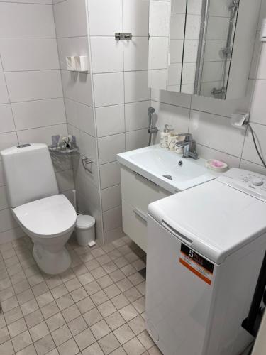 Koupelna v ubytování Lamminpää