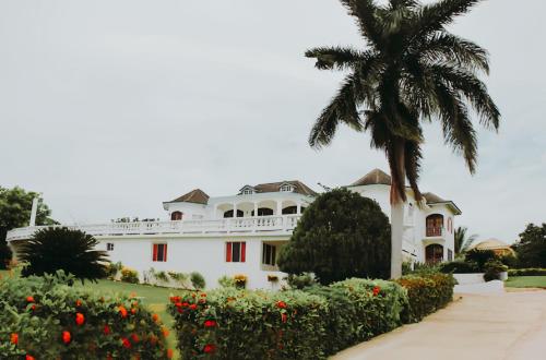 Zahrada ubytování Seaview Chateau