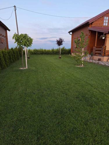 a yard with two trees in the grass next to a house at Brvnara Luni in Kruševac
