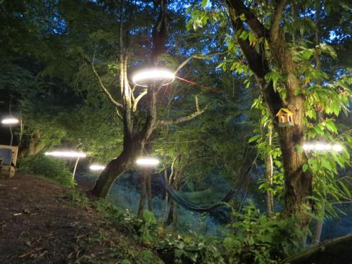 a hammock in a forest at night at Glamping Daphenili in Tskalt'ashua