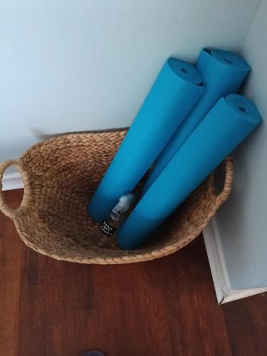 two blue objects are sitting in a basket at Pensacola hidden gem cottage 3 minutes from Navy Base, pet friendly in Pensacola