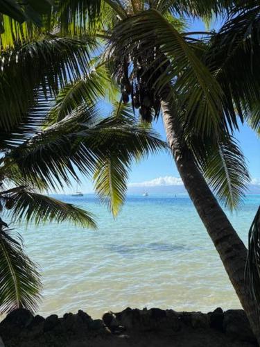 Landskap semula jadi dekat dengan homestay