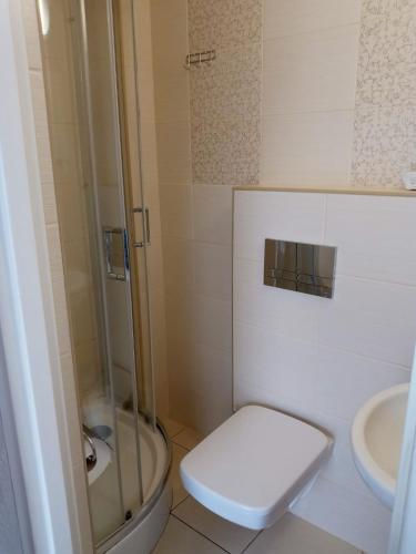 a bathroom with a toilet and a sink at Kalina in Łeba