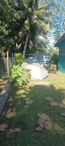 Vườn quanh Buddle Camping Ground