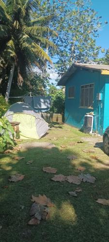 Vườn quanh Buddle Camping Ground