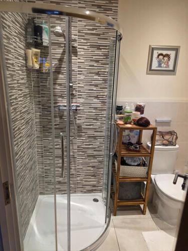 a shower stall in a bathroom with a toilet at Tranquil Epsom Downs in Kingswood Warren