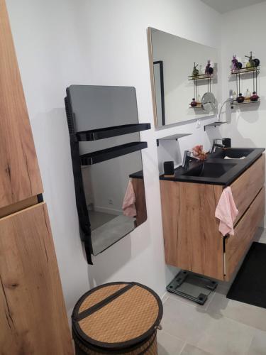 a bathroom with a sink and a mirror at Vacances en Provence in Roquevaire