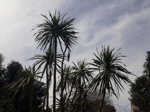 Φωτογραφία από το άλμπουμ του Eureka all year round σε City Bell