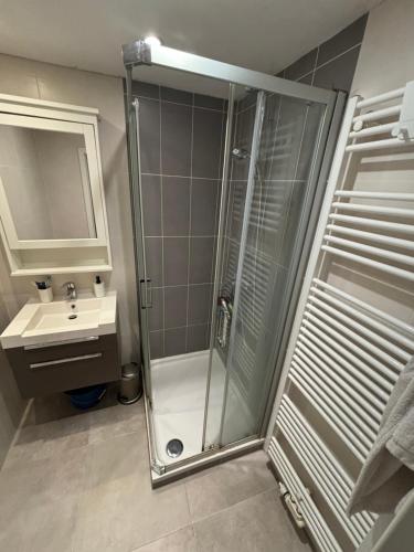 a bathroom with a shower and a sink at flatwatermael in Brussels