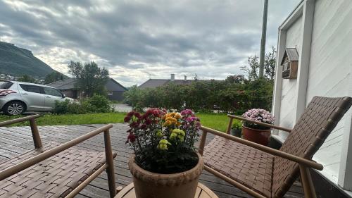 a porch with two chairs and a potted plant at Venusvegen 35 in Tromsø