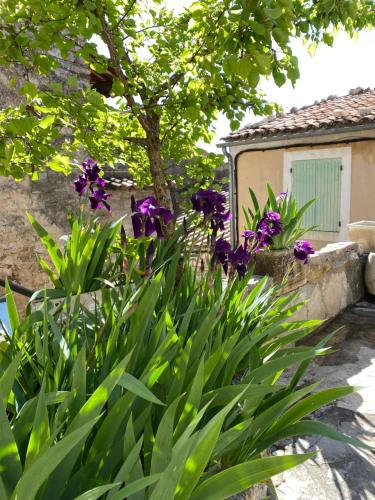 a garden with purple flowers in front of a building at La Mistraline, 2 bedrm 2 bath house in the heart of Provence in Caseneuve