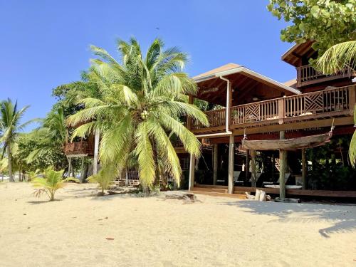 eine Palme vor einem Gebäude am Strand in der Unterkunft Beachfront Home With Pristine, Calm Waters, White Sands And Unbelievable Sunset in Roatán
