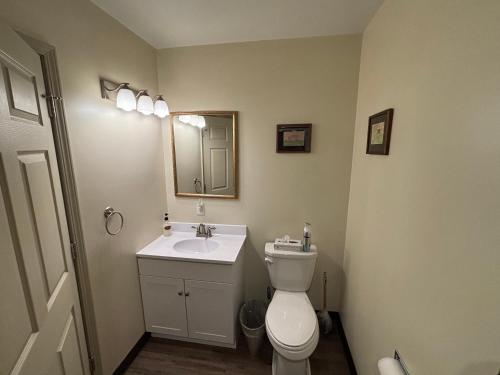 a bathroom with a toilet and a sink and a mirror at Hermann Crown Suites in Hermann