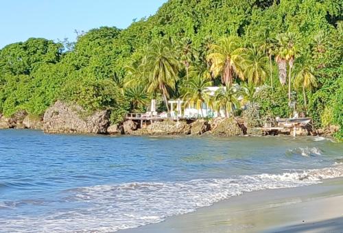 サンフィリップにあるMuscotのギャラリーの写真