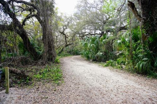 a dirt road through a forest with trees at The Nature House in Hernando