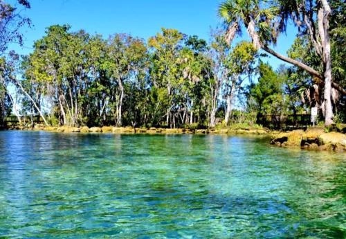 a body of water with trees in the background at The Nature House in Hernando