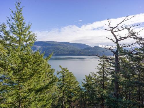 a view of a lake through the trees at Luxury Waterfront & Views, Private Beach, Golfing in Eastsound